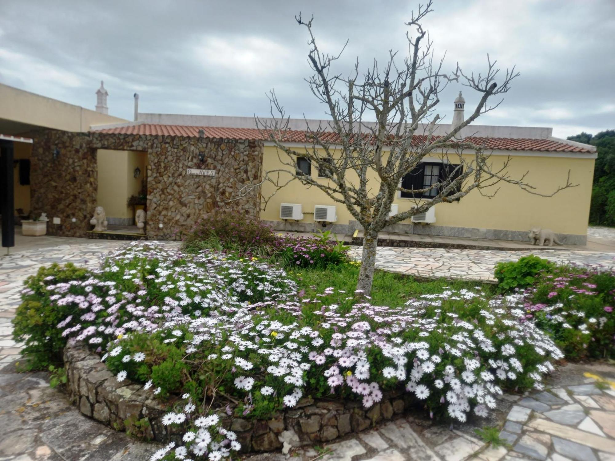 Maison d'hôtes Quinta Das Aves à Lagos Extérieur photo